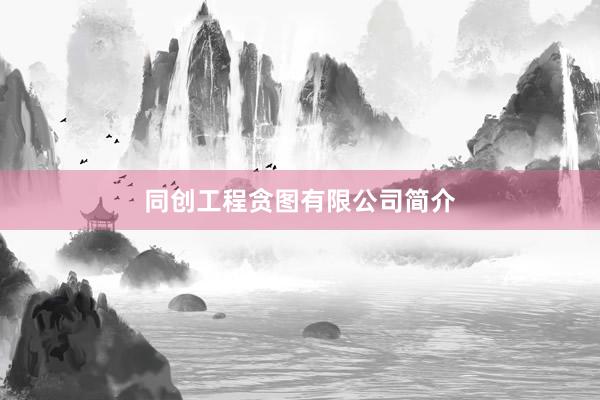 同创工程贪图有限公司简介