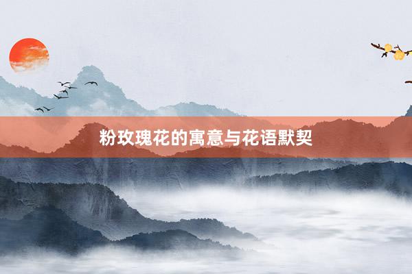 粉玫瑰花的寓意与花语默契