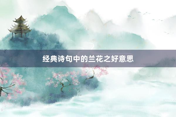 经典诗句中的兰花之好意思