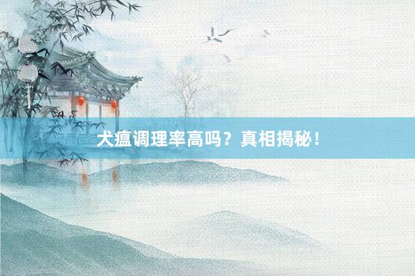 犬瘟调理率高吗？真相揭秘！