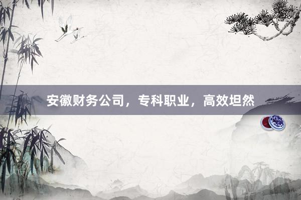 安徽财务公司，专科职业，高效坦然