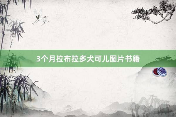 3个月拉布拉多犬可儿图片书籍